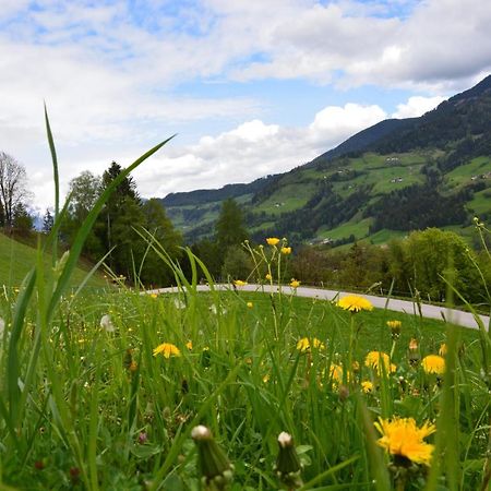 Niederstallnhof Sankt Johann im Pongau Zewnętrze zdjęcie