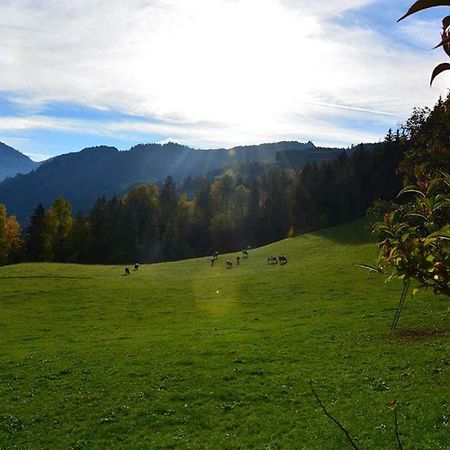 Niederstallnhof Sankt Johann im Pongau Zewnętrze zdjęcie
