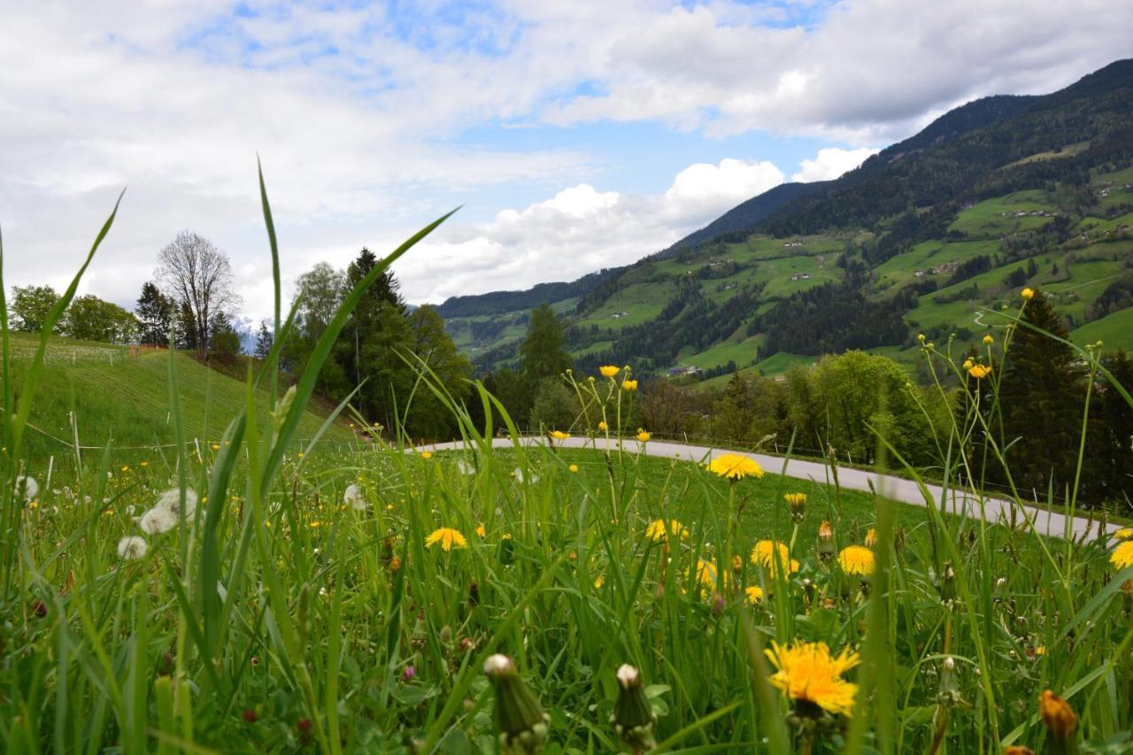 Niederstallnhof Sankt Johann im Pongau Zewnętrze zdjęcie