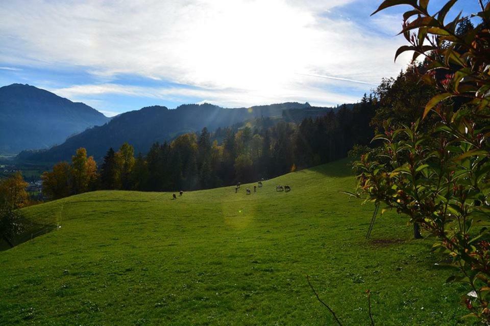 Niederstallnhof Sankt Johann im Pongau Zewnętrze zdjęcie